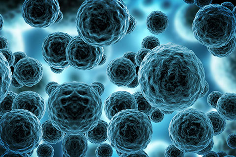国家医保药品谈判|王磊|阿斯利康|康方生物|贝海生物|康诺亚|正大天晴|葛兰素史克|环码生物|科伦博泰|华昊中天