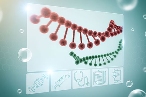 4.5亿！石药新公司来了